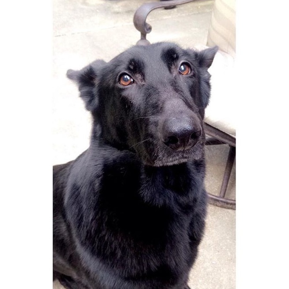 Meet your Posher, Mackenzie